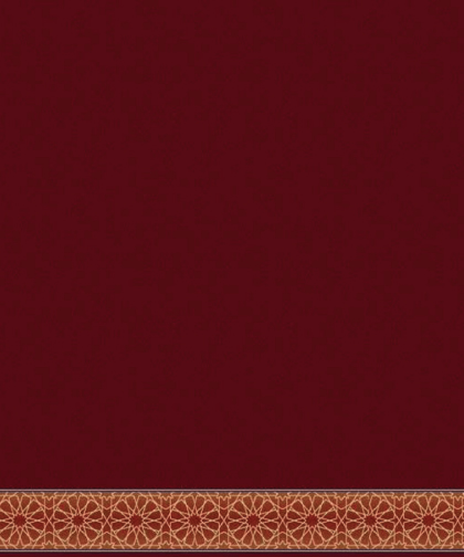 8696A KOYU BORDO